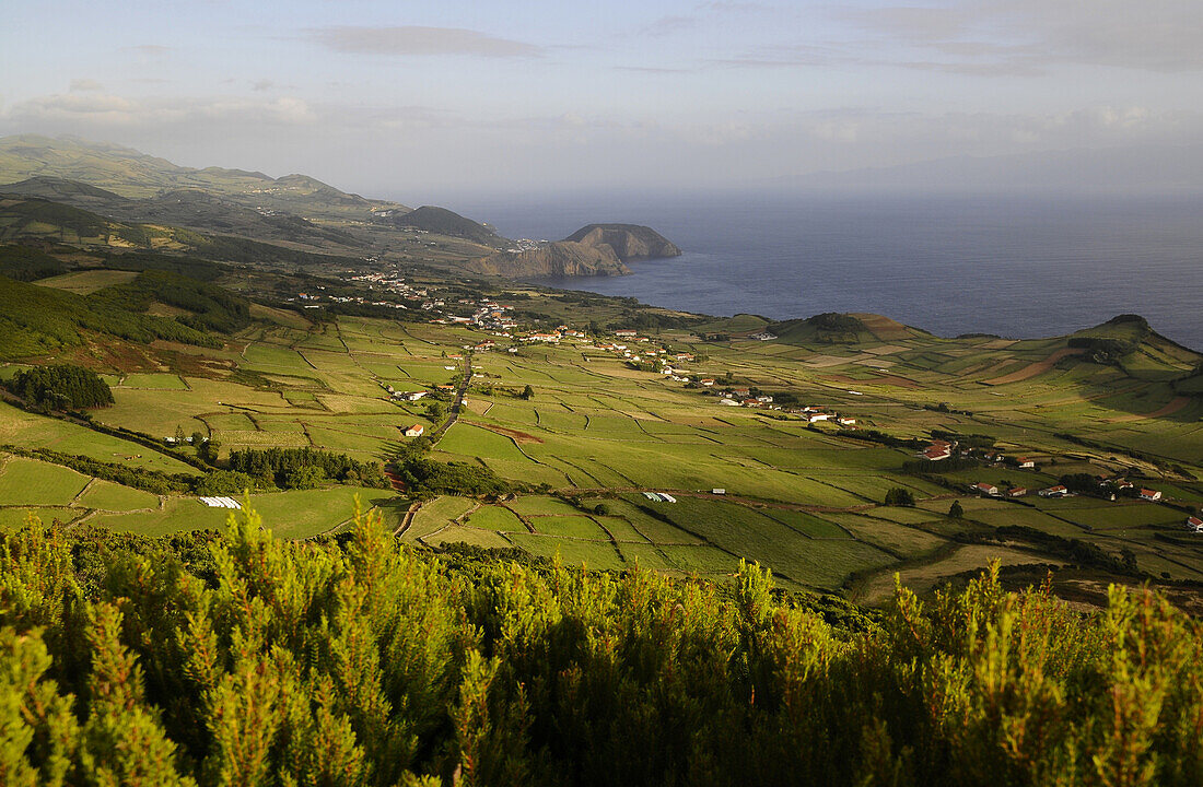 Blick vom Pico da Velha im Westen der Insel Sao Jorge, Azoren, Portugal
