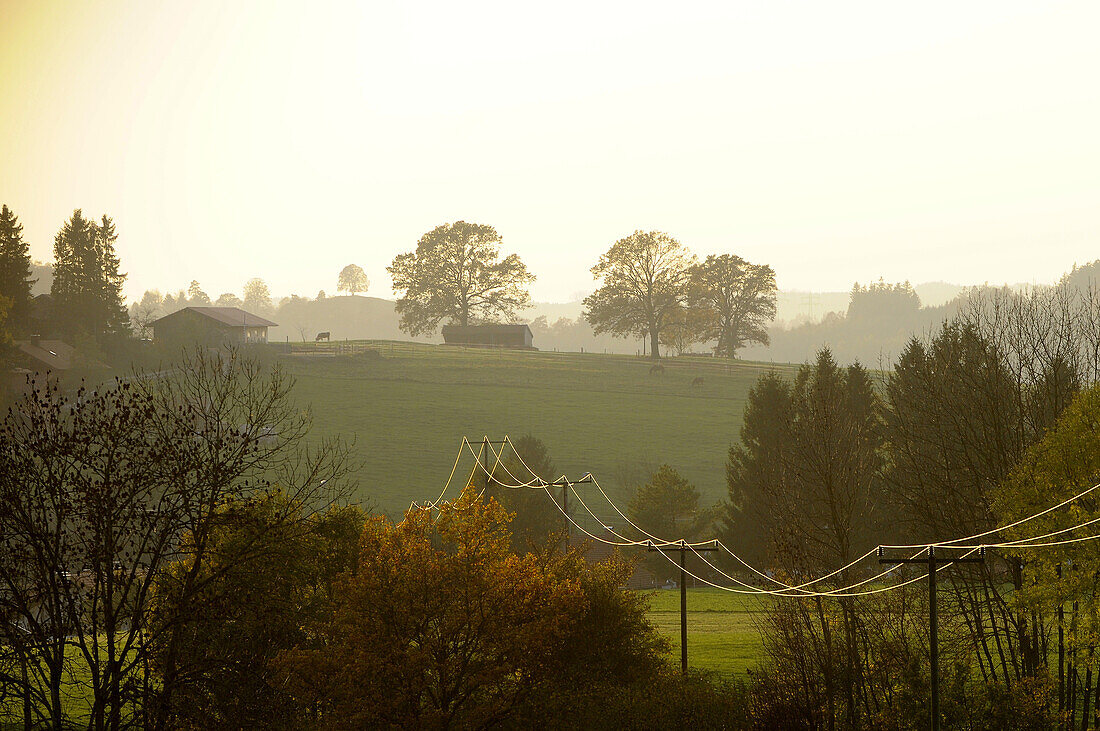 Sunset near Egling, Wolfratshausen, Upper Bavaria, Bavaria, Germany