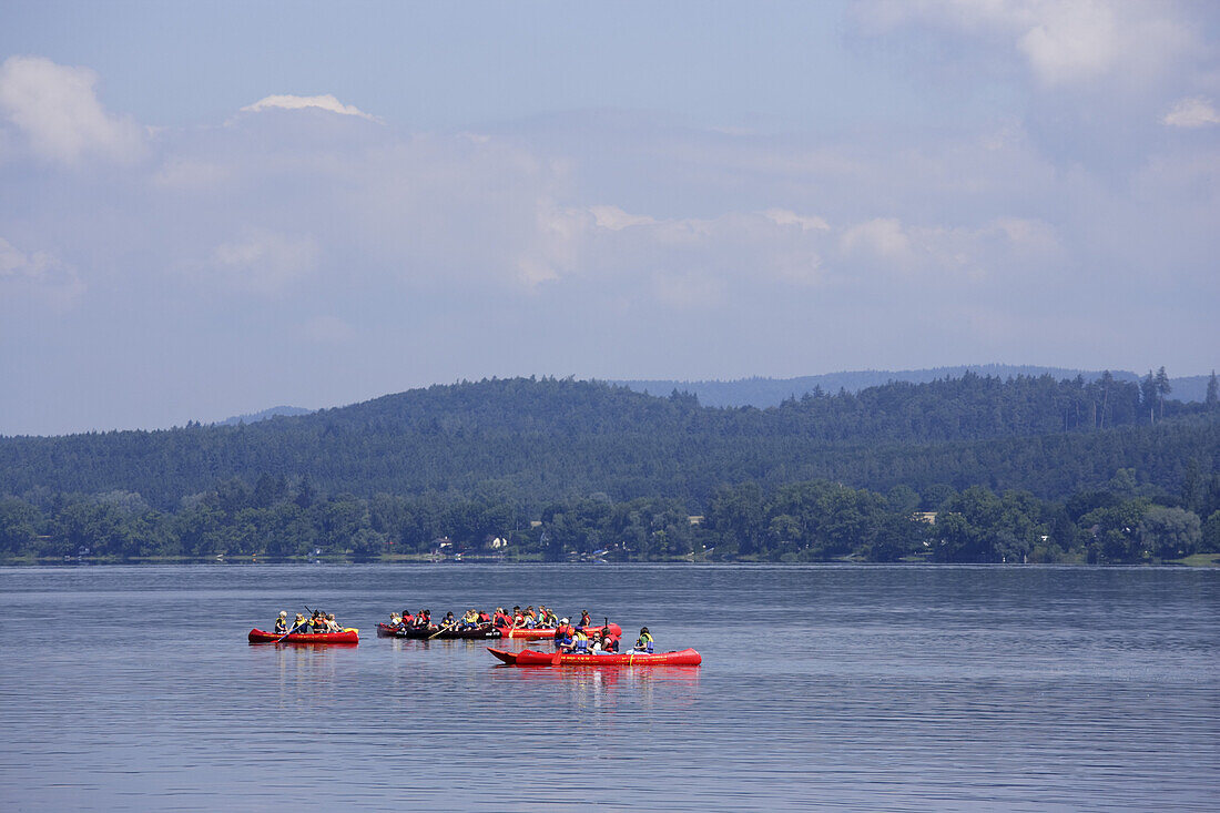Persons canoeing on Lake Constance, Reichenau, Baden-Wurttemberg, Germany