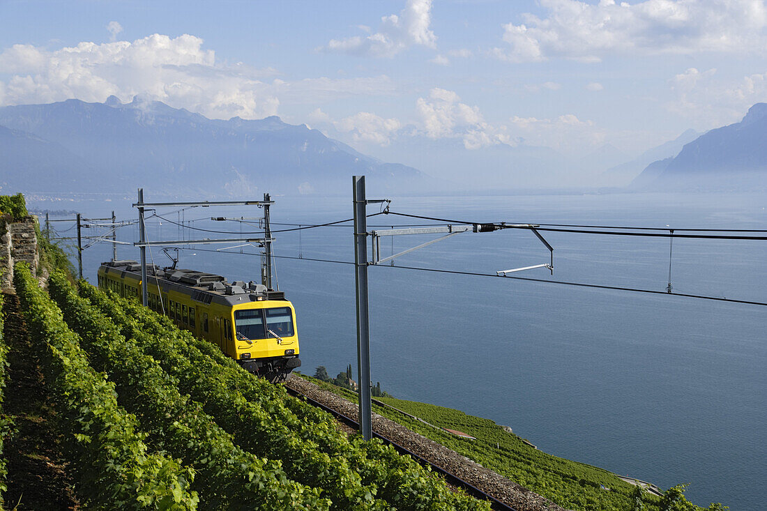 Train de Vignes, Lavaux, Kanton Waadt, Schweiz