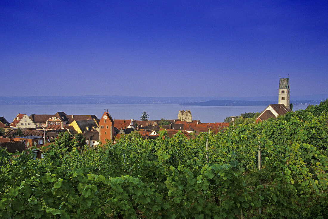 Blick von einem Weinberg über Meersburg auf den Bodensee, Meersburg, Baden-Württemberg, Deutschland