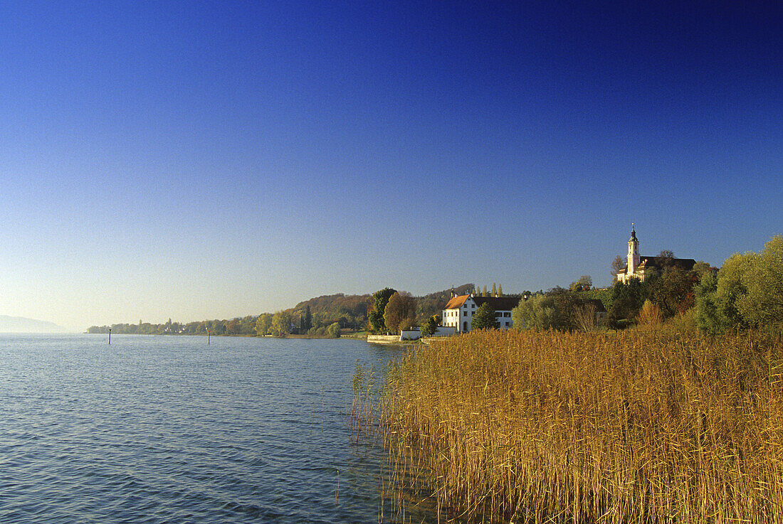 View from the lakeshore to the pilgrimage church of Birnau abbey under blue sky, Lake Constance, Baden Wurttemberg, Germany