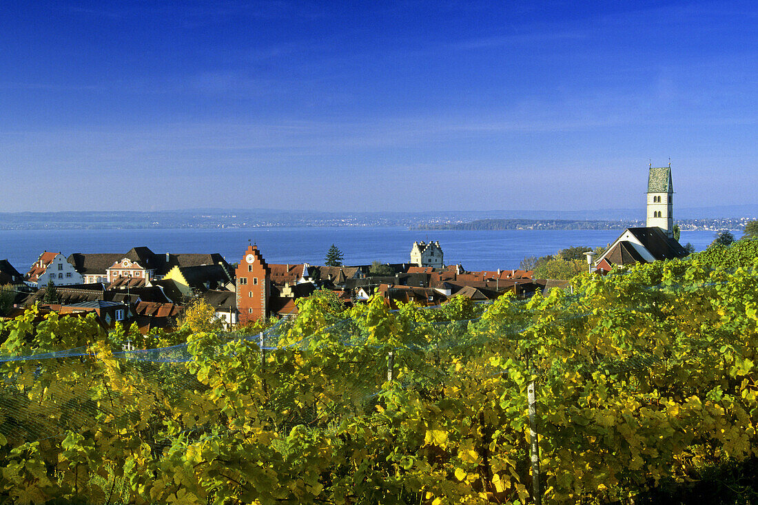 Blick von einem Weinberg über Meersburg auf den Bodensee, Meersburg, Baden-Württemberg, Deutschland