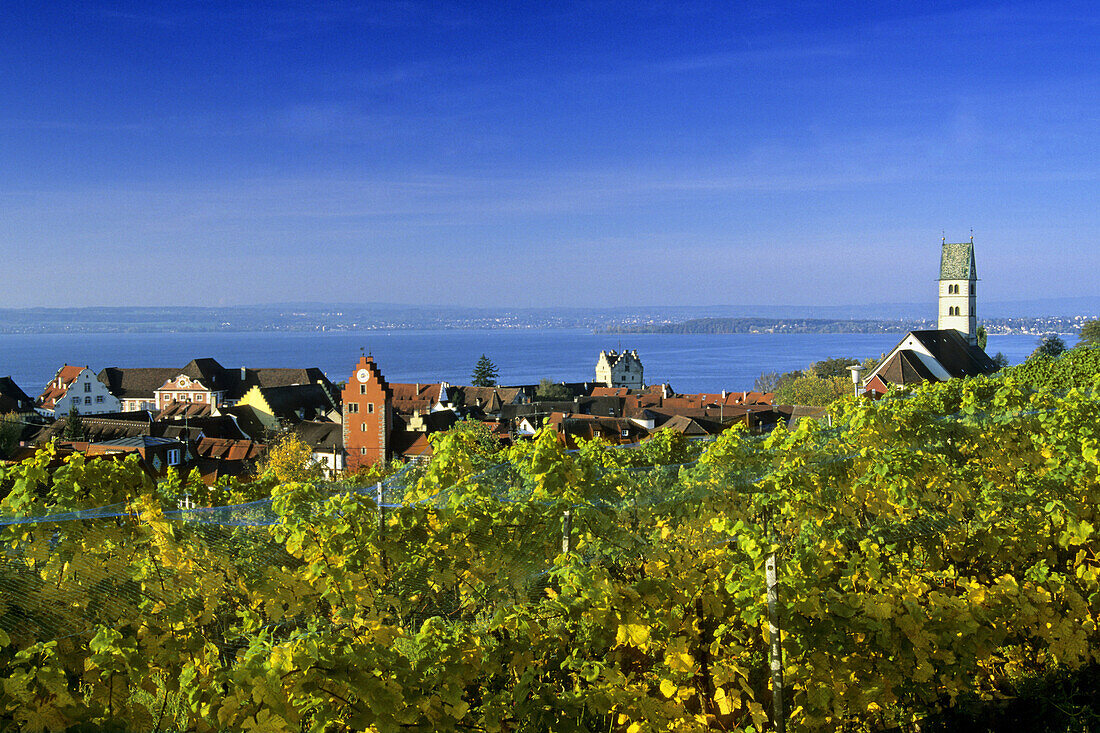 View from a vineyard over Meersburg to Lake Constance, Meersburg, Baden-Wurttemberg, Germany