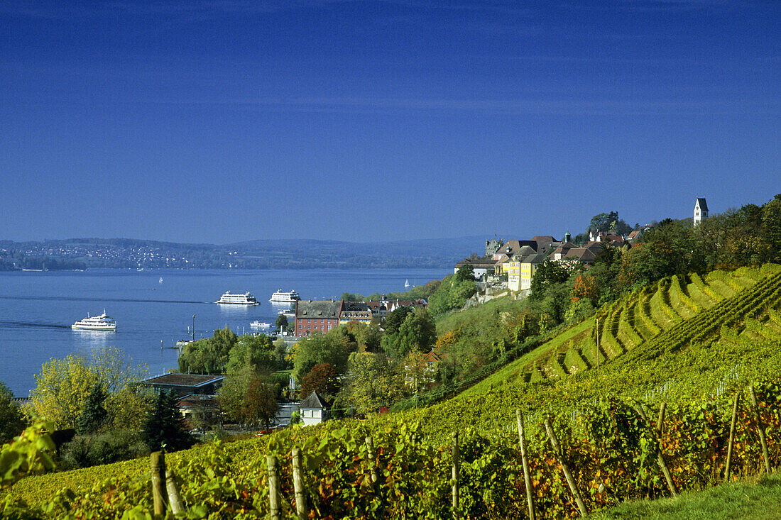 View over vineyards to Meersburg, Lake Constance, Baden Wurttemberg, Germany