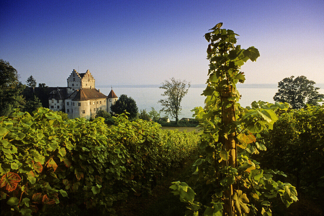 Altes Schloss, Meersburg, Bodensee, Baden-Württemberg, Deutschland