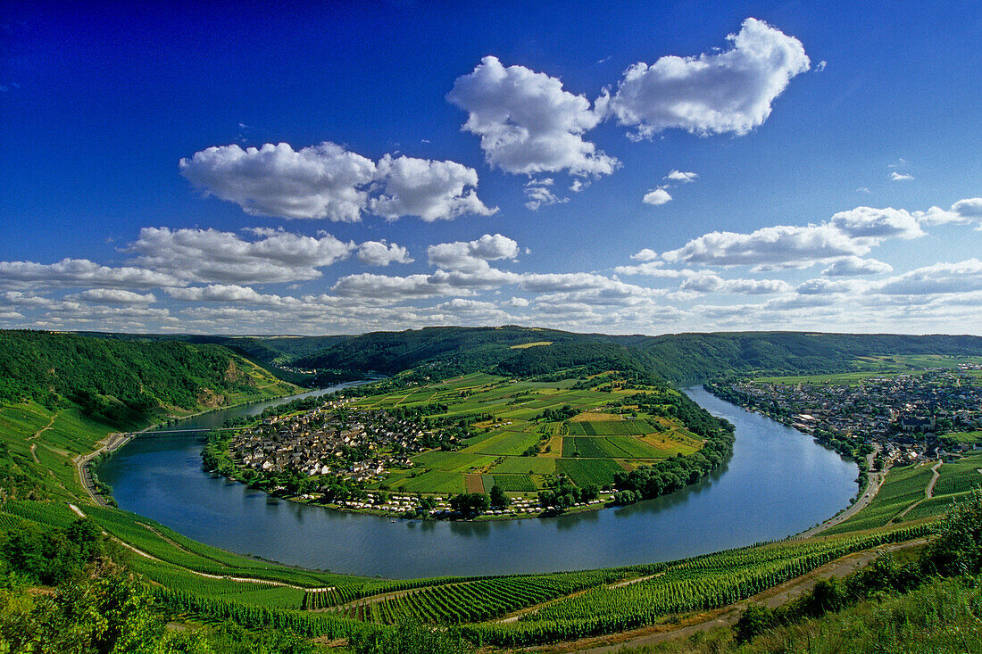 Blick aus den Weinbergen auf die Moselschleife bei Kröv, Mosel, Rheinland-Pfalz, Deutschland