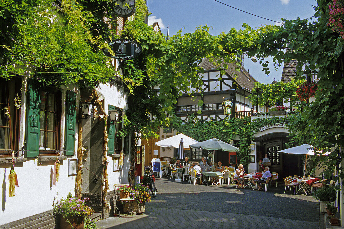 Guests sitting in a wine bar, Winningen, Moselle, Rhineland-Palatinate, Germany