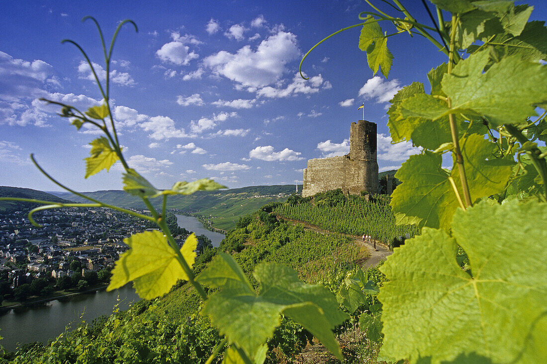 Landshut castle above Moselle, Bernkastel-Kues, Rhineland-Palatinate, Germany