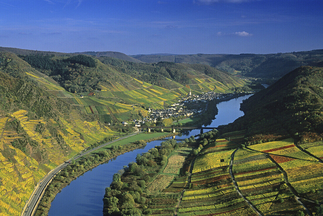 Blick ins Moseltal bei Ediger-Eller, Mosel, Rheinland-Pfalz, Deutschland