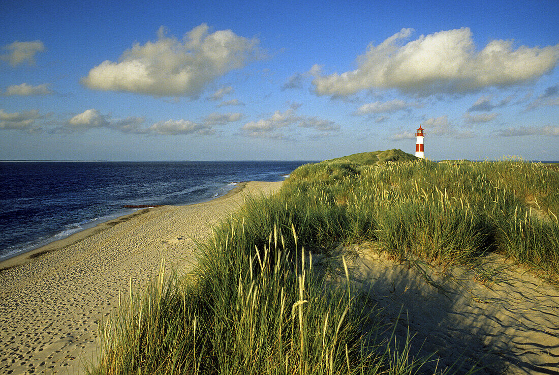 Lighthouse in the dunes under cloudy sky, Ostenellenbogen, Sylt island, North Friesland, North Sea, Schleswig-Holstein, Germany