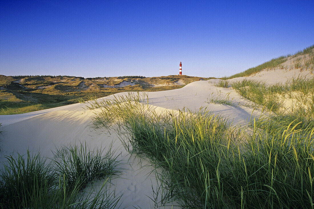 Lighthouse in the dunes, Amrum island, Schleswig-Holstein, Germany