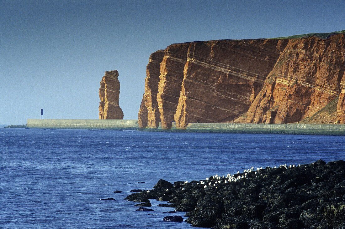 Lange Anna, Insel Helgoland, Schleswig-Holstein, Deutschland