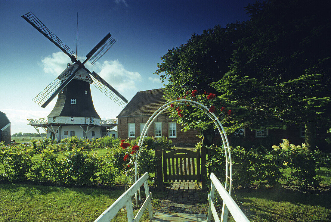 Windmill in the fen area, East Friesland, Lower Saxony, Germany