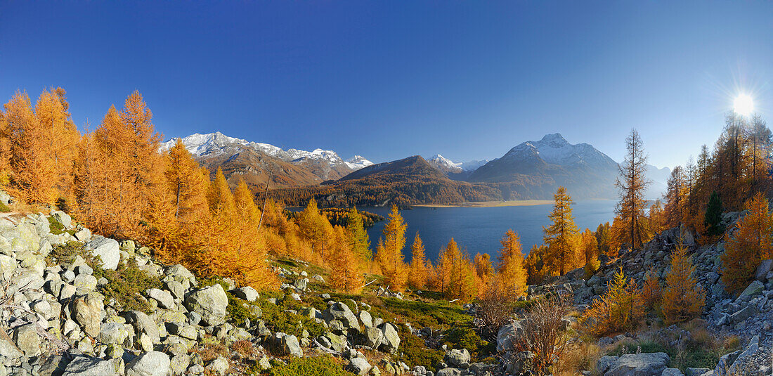 Silser See im Herbst, Piz Corvatsch und Piz da la Margna, Oberengadin, Engadin, Graubünden, Schweiz
