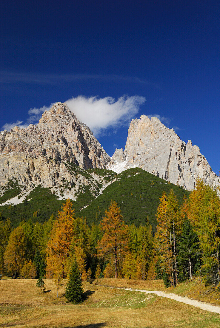 Cristallogruppe mit Weg durch herbstlich verfärbte Lärchen, Cristallo, Dolomiten, Südtirol, Italien