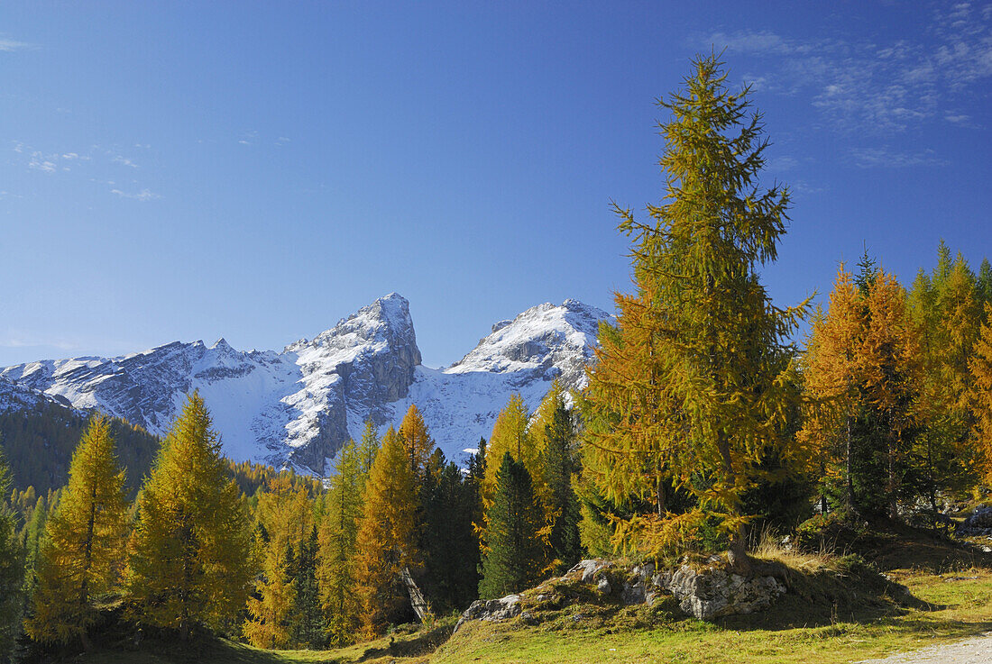 Monte Formin mit herbstlich verfärbten Lärchen, Dolomiten, Südtirol, Italien