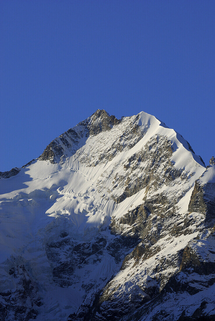 Piz Bernina mit Biancograt, Oberengadin, Engadin, Graubünden, Schweiz