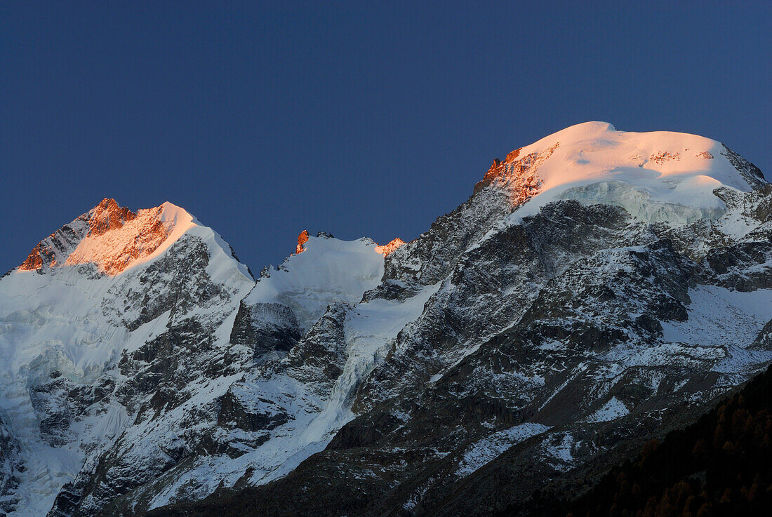 Piz Bernina with ridge Biancograt, Piz Prievlus and Piz Morteratsch in alpenglow, Berninagruppe range, Oberengadin, Engadin, Grisons, Switzerland