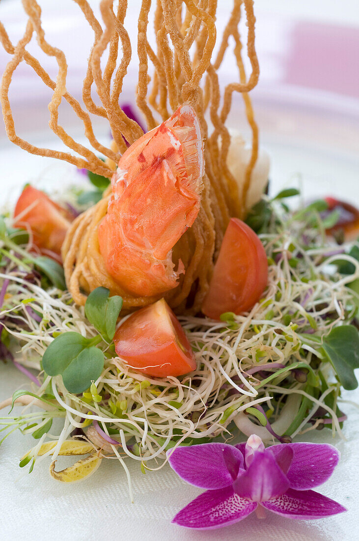 Langoustine in Thainudeln und süß-sauren Sprossen, Chefkoch Andre Jaeger, Restaurant Hotel Fischerzunft, Rhein, Schaffhausen, Schweiz