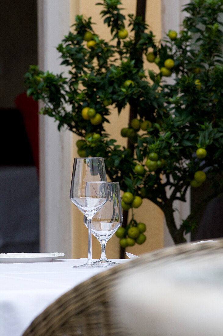 Gläser auf einem Tisch und ein Zitronenbaum, Restaurant Villino, Lindau, Bodensee, Deutschland