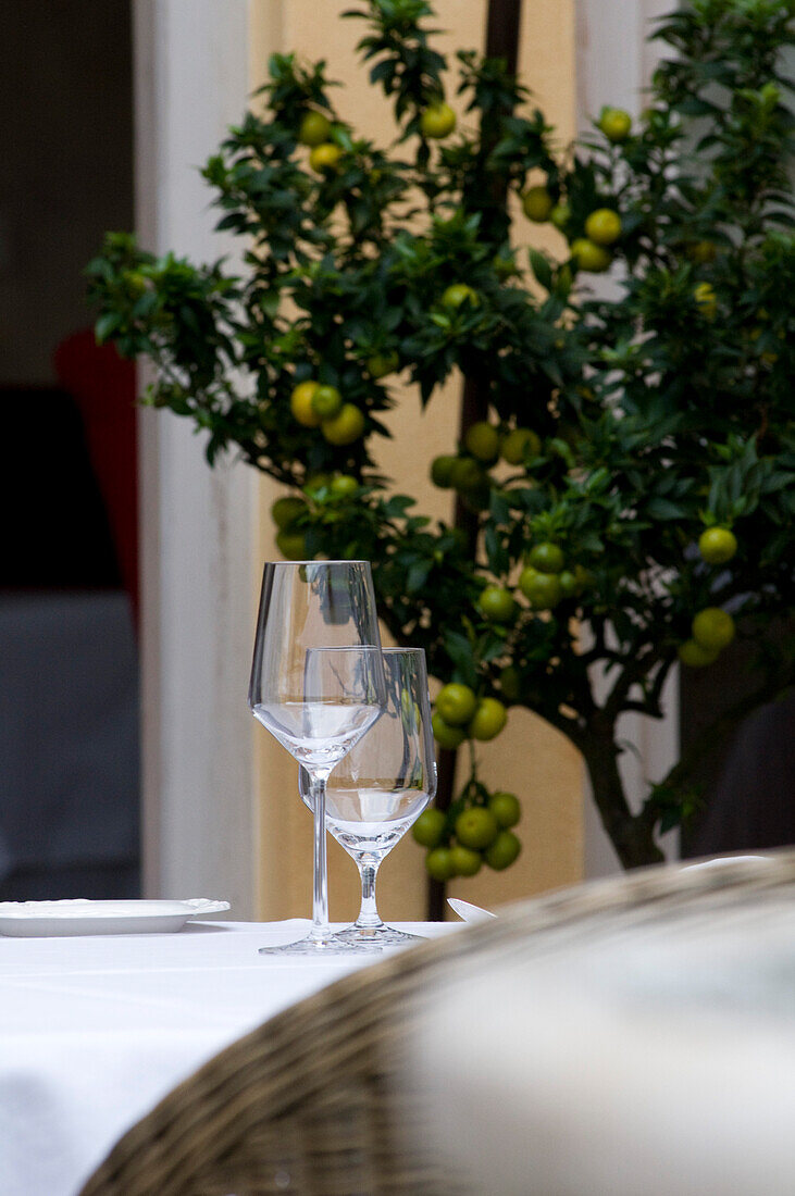 Glasses on a table and a lemon tree, Restaurant Villino, Lindau, Lake Constance, Germany