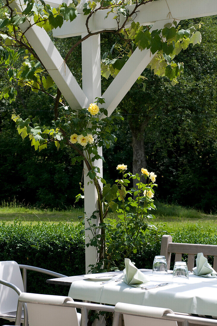 A table is laid in the garden of Restaurant Falconera, Öhningen-Schienen, Baden-Württemberg, Lake Constance, Germany