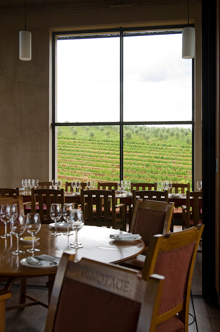 Tables are laid at the restaurant Stellenbosch with view at vineyard, Vineyard Tokara, Helshoogte Pass, Simonsberg Mountains, South Africa, Africa