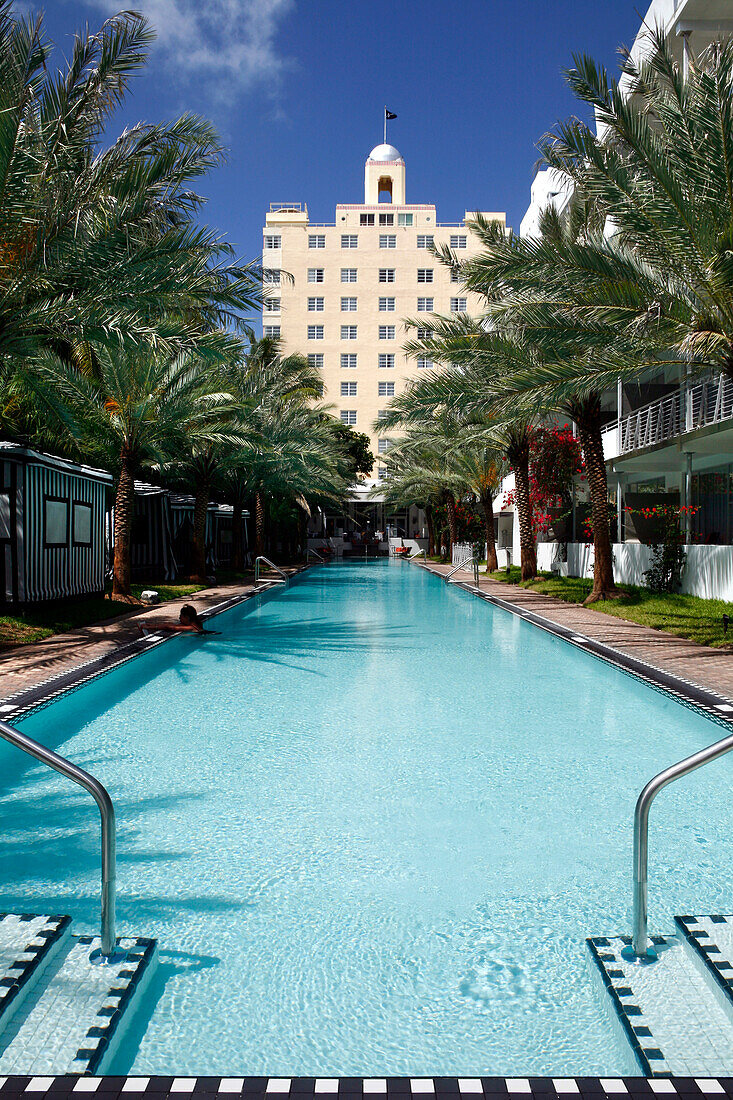 View at the swimming pool of the National Hotel in the sunlight, South Beach, Miami Beach, Florida, USA