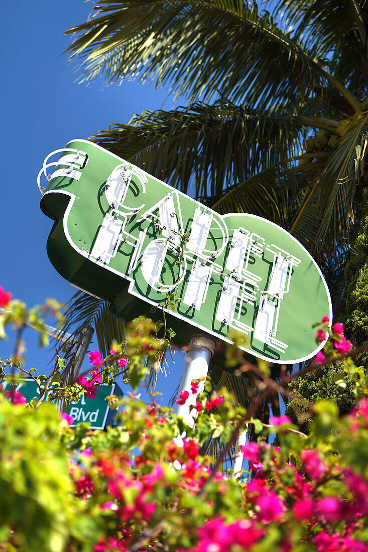 Cadet Hotel neon sign above blooming flowers at daytime, South Beach, Miami Beach, Florida, USA