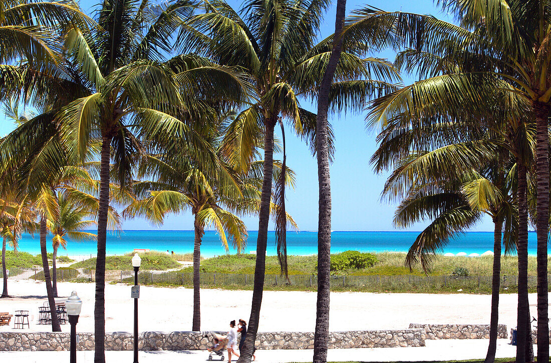 Menschen gehen im Lummus Park unter Palmen spazieren, South Beach, Miami Beach, Florida, USA