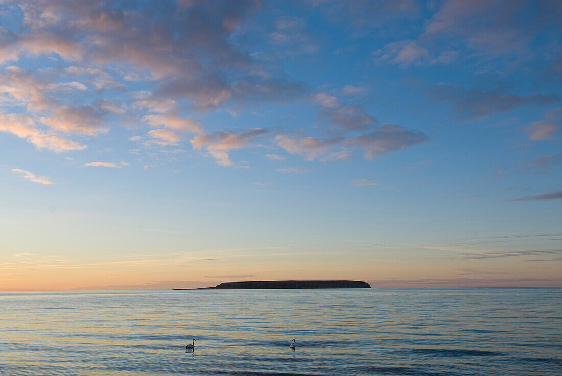 Blick über das Meer, Insel Lilla Karlsö im Hintergrund, Naturschutzgebiet, in der Nähe von Djauvik, Gotland, Schweden, Skandinavien, Europa
