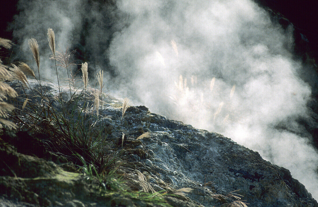 Dampf steigt aus Fumarolen im vulkanischen Yanmingshan Nationalpark, Taiwan, Asien