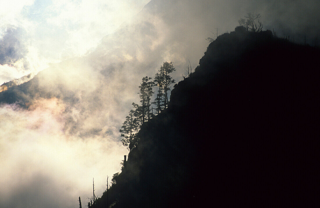 Clouds between the mountains at sunrise, Shei-Pa National Park, Taiwan, Asia