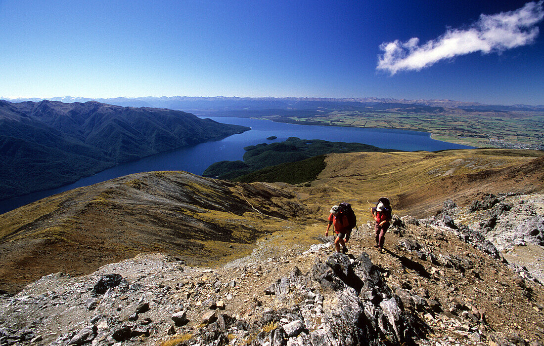 Zwei Trekker besteigen den Mt. Luxmoore in den Kepler Mountains, Blick auf den See Te Anau, Fiordland Nationalpark, Südinsel, Neuseeland, Ozeanien