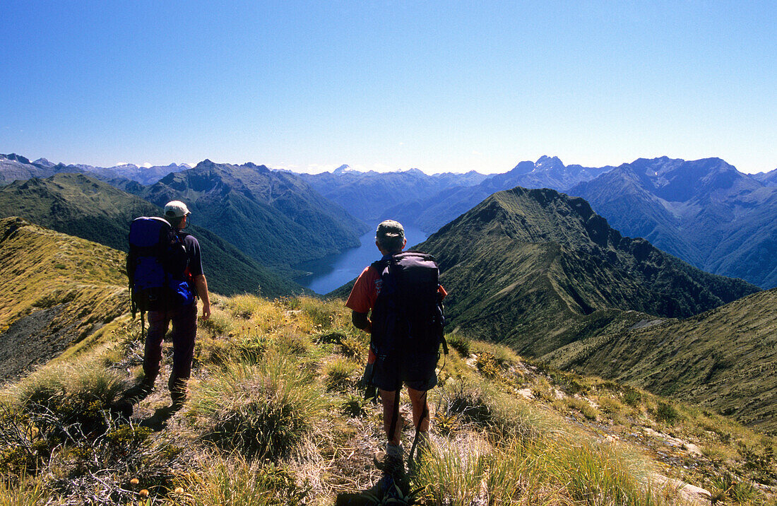 Trekker at Keppler Mountains looking at the view, Fiordland National Park, South Island, New Zealand, Oceania