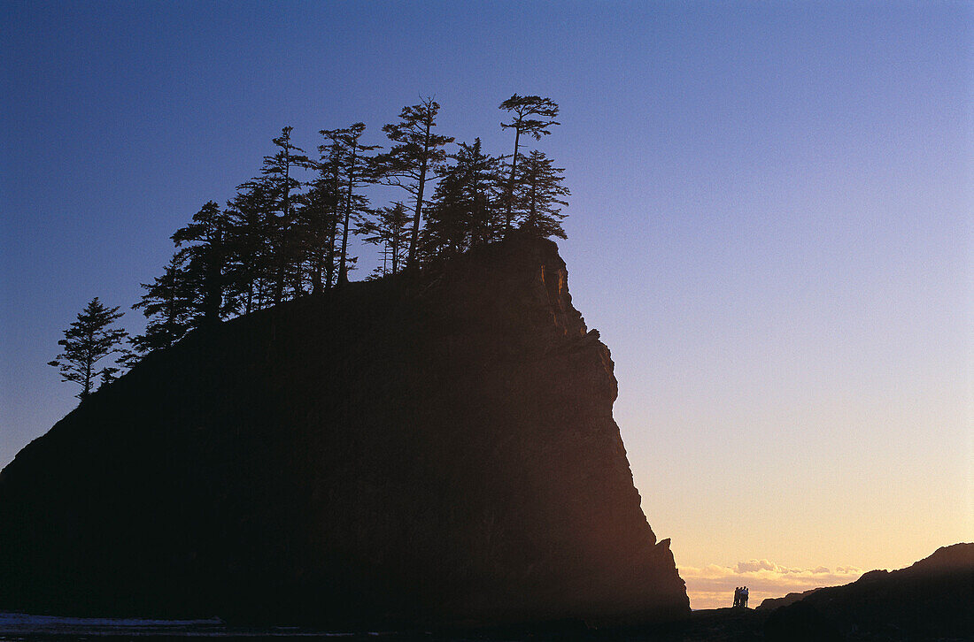 Hikers dwarfed by sea stacks at Second Beach, Olympic National Park. Washington, USA