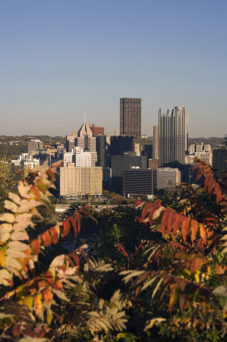 Dowtown skyline, Pittsburgh, Pennsylvania, USA
