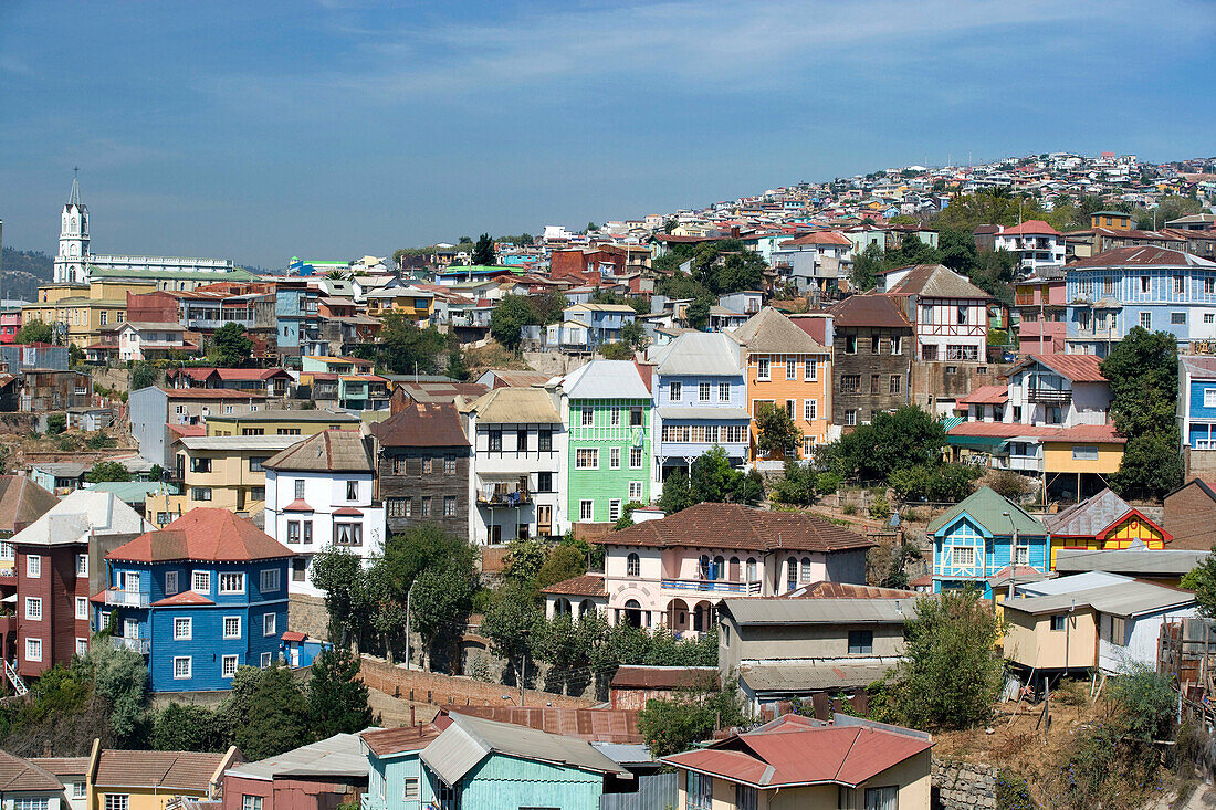 Cerro San Juan de Dios Bellavista. Valparaiso. Chile.