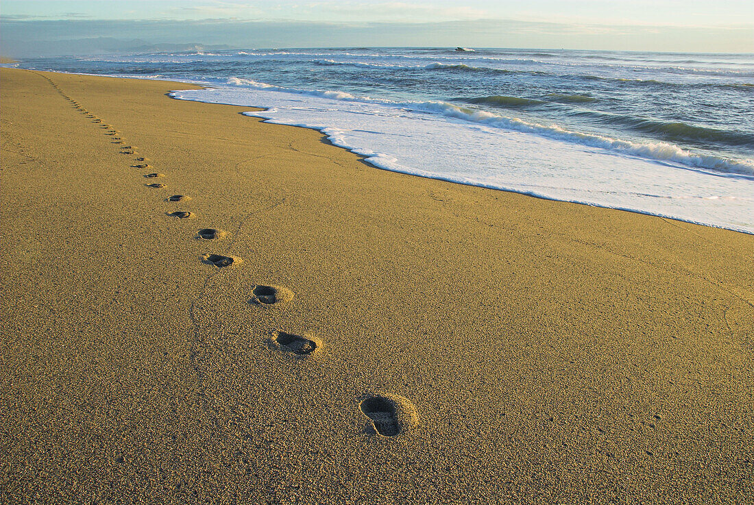 Footprints in the sand, Kohaihai Beach, Karamea, New Zealand