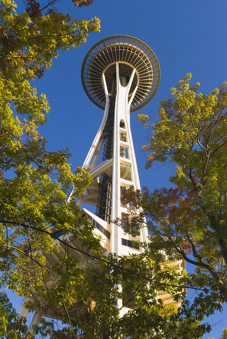 The Space Needle and fall color, Seattle, Washington, USA