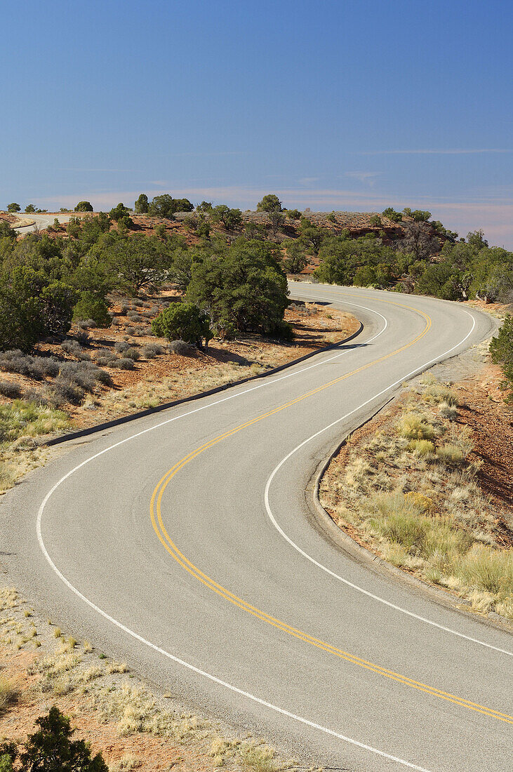 Winding Road  Island in the Sky District, Canyonlands National Park, Utah, USA, America