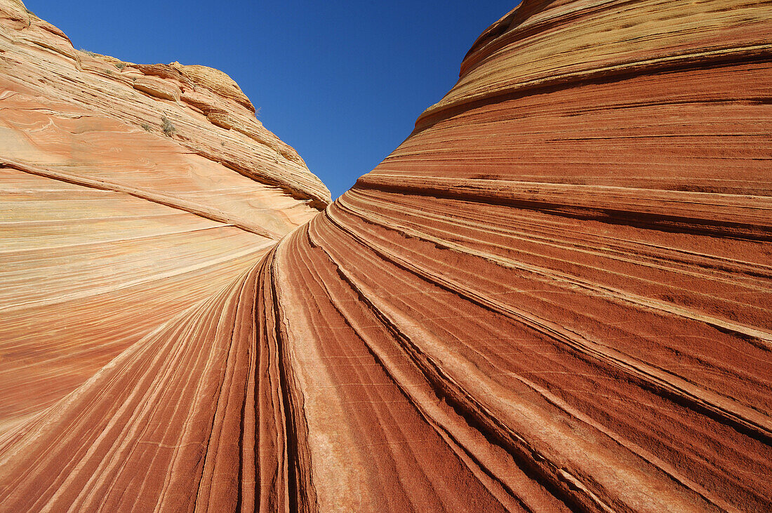 Close up of Sandstone Rock Formations at Paria Canyon-Vermilion Cliffs Wilderness, Coyote Buttes North, Vermilion Cliffs, Colorado Plateau, Arizona, USA, America