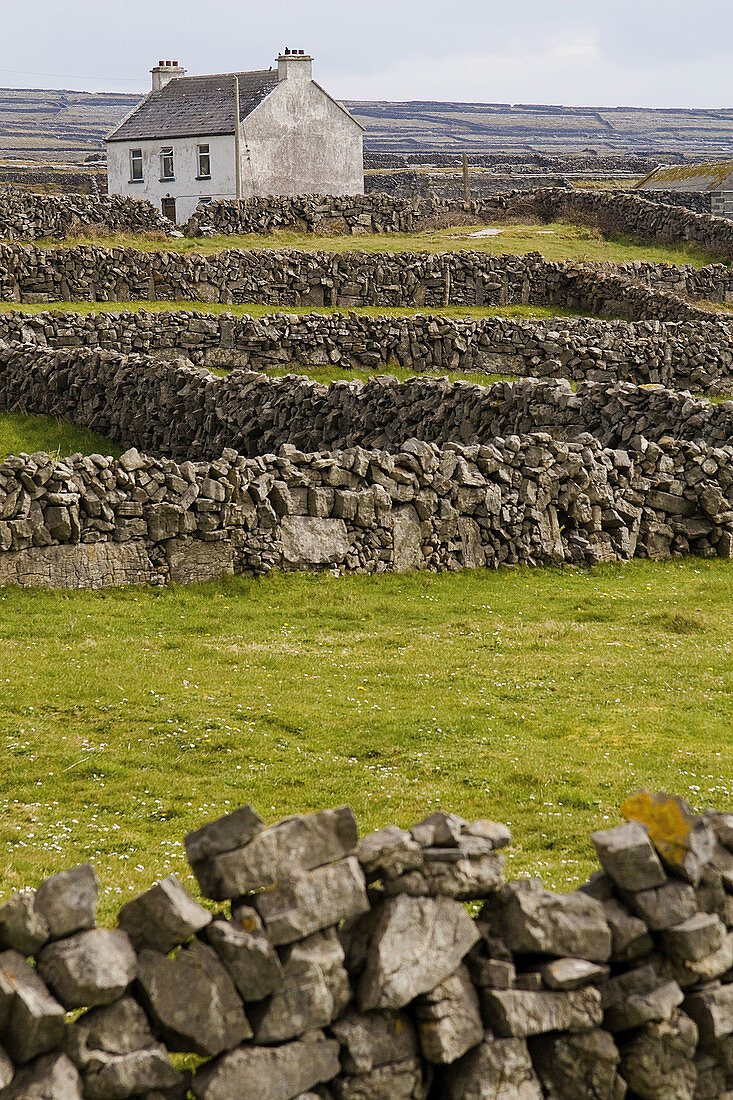 Inishmore. Aran Islands. Galway Co. Ireland