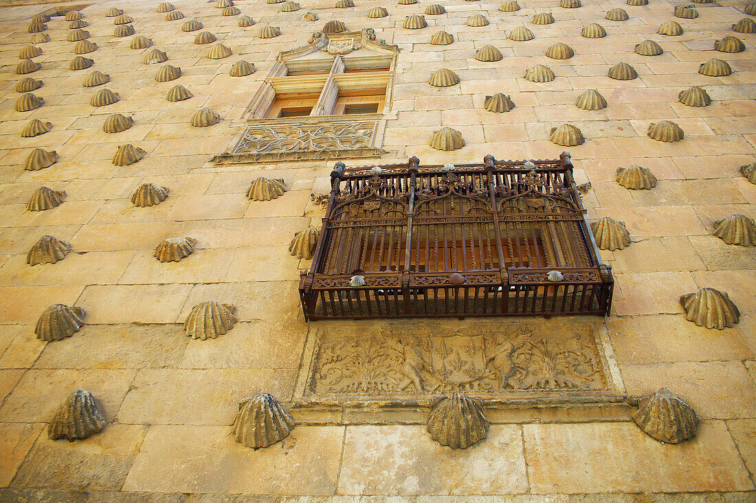 Casa de las Conchas detail, Salamanca. Castilla-Leon, Spain