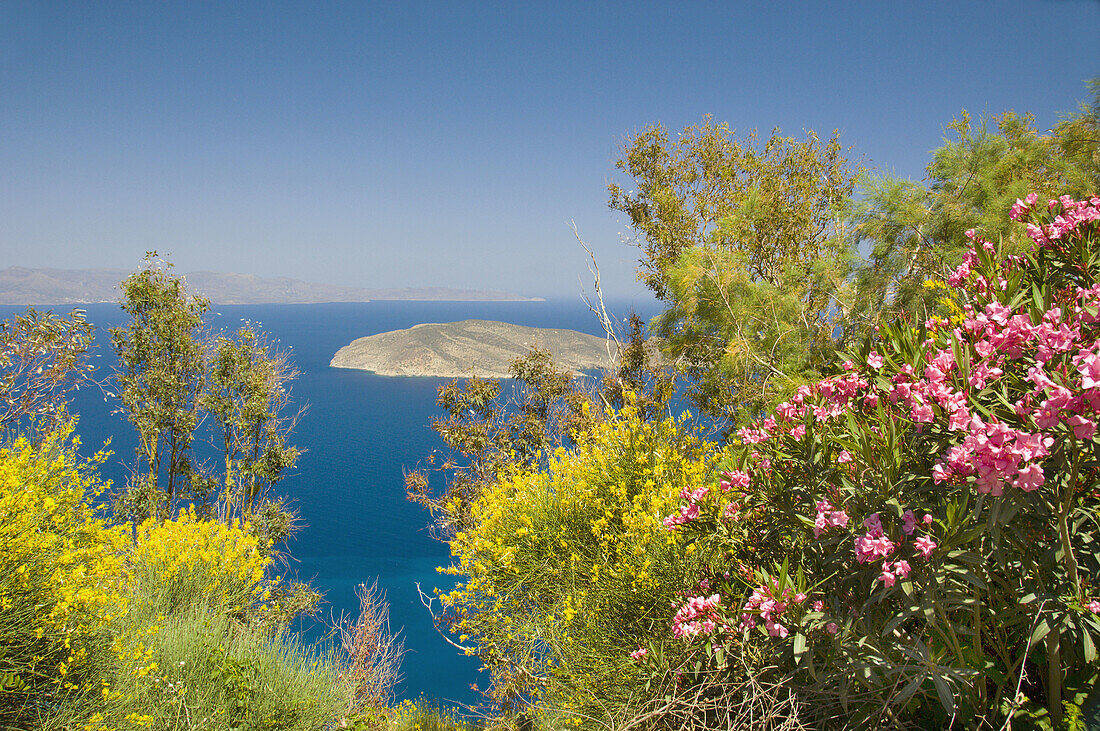 Spring flowers and a view of the Mirambelou gulf in eastern Crete, Greece.