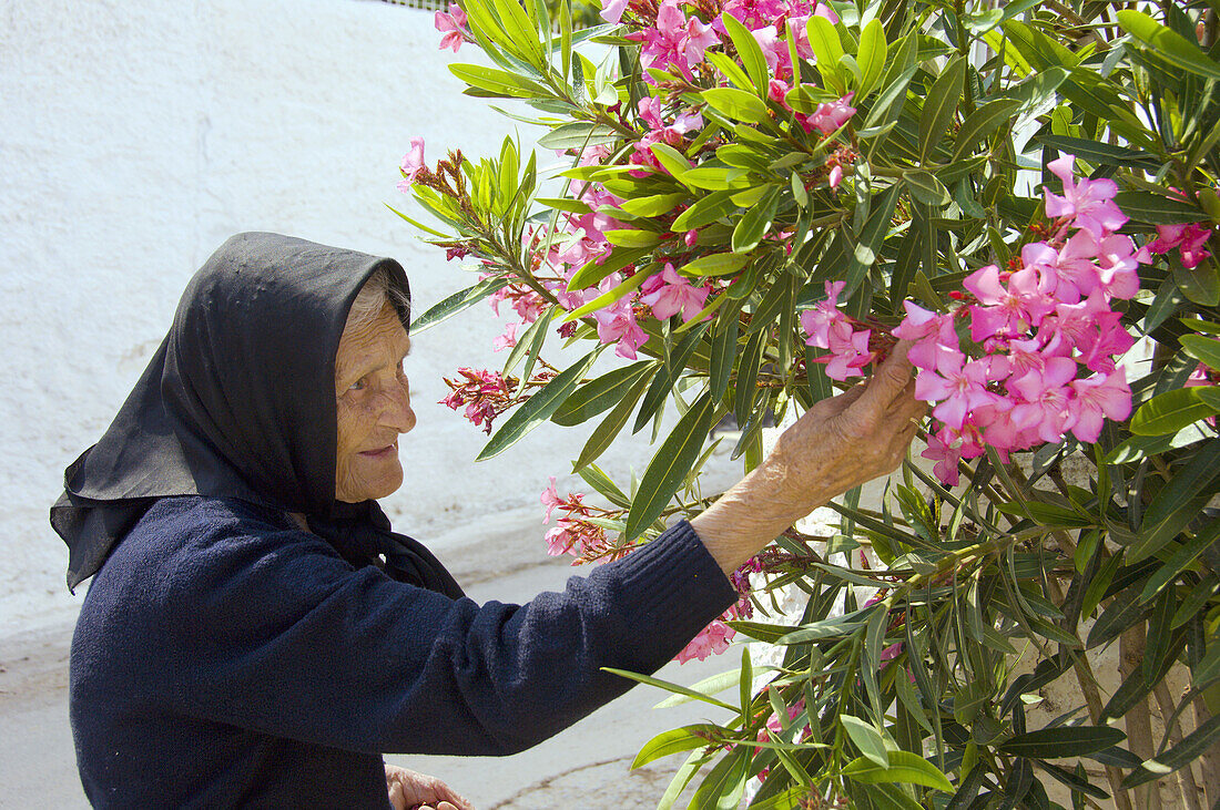 An elderly lady pruning a flower bush at the fishing town of Githeo, Greece.