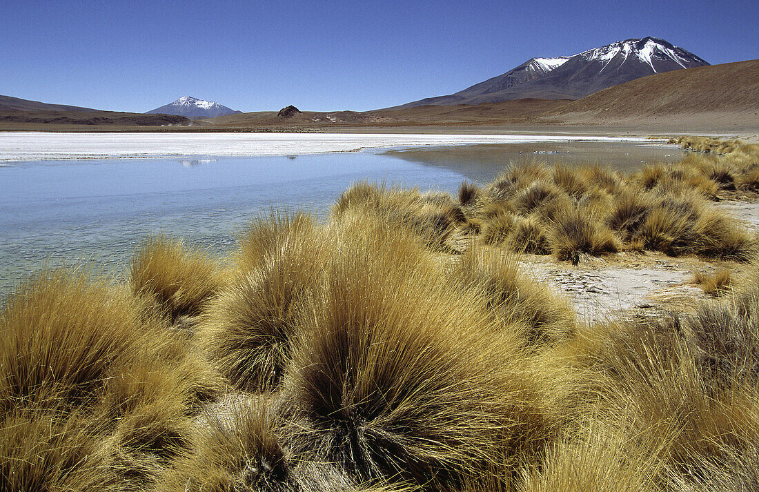 Laguna Cañapa. South Lipez, Bolivia.