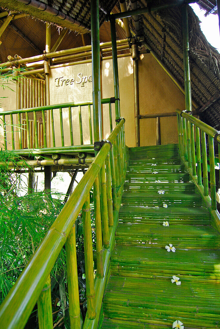 Green stairs in front of the Tree Spa at Kupu Kupu Barong Resort, Ubud, Indonesia, Asia