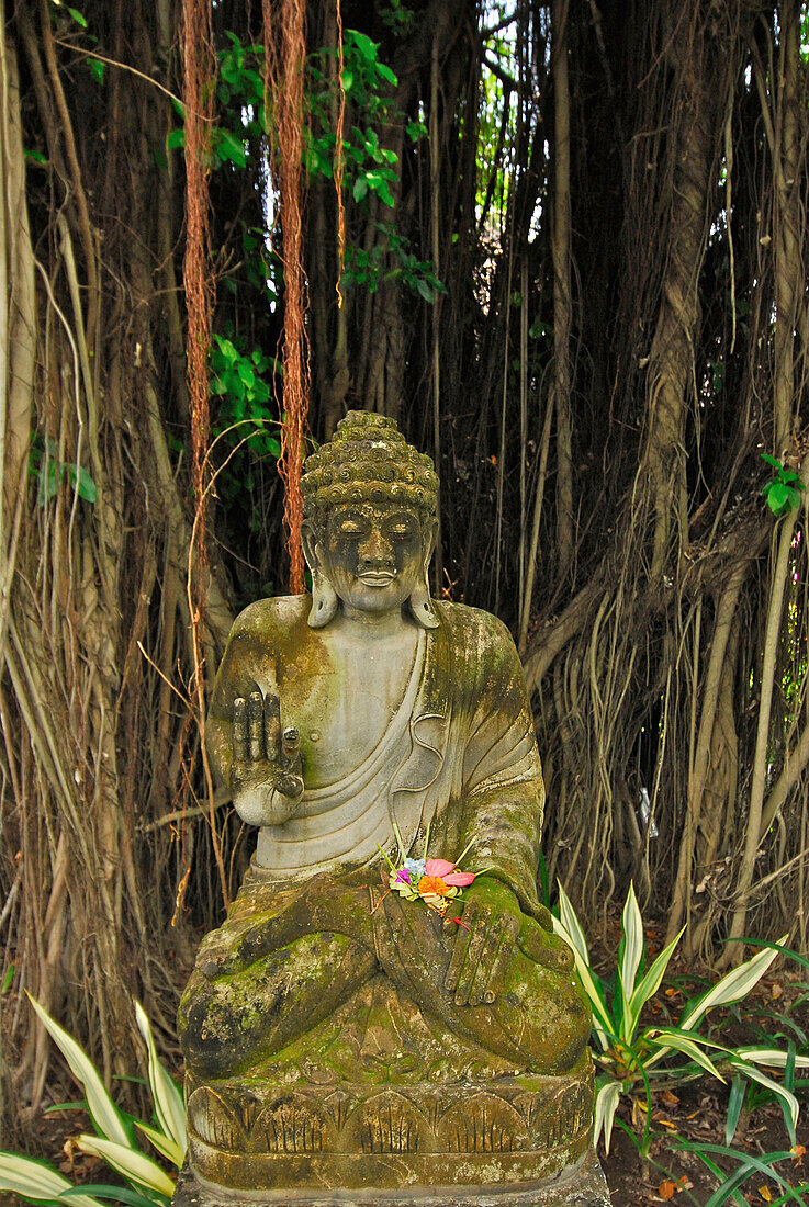 Buddhastatue im Garten des Matahari Hotel, Pemuteran, Nordwest Bali, Indonesien, Asien